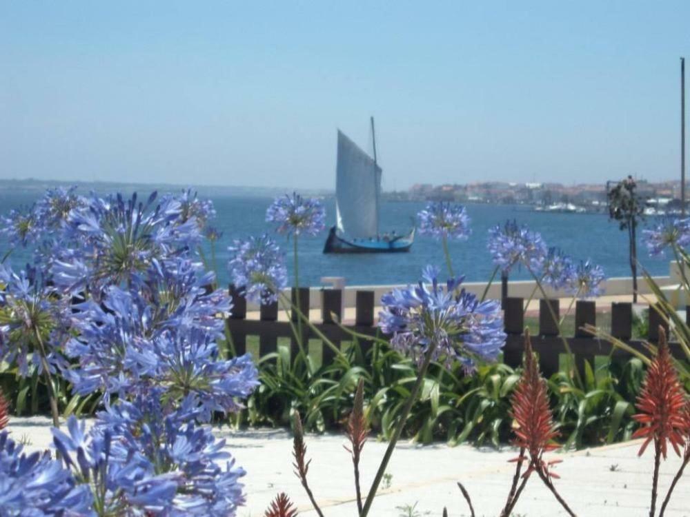 Casa Do Bico Da Biaritz Βίλα Costa Nova Εξωτερικό φωτογραφία